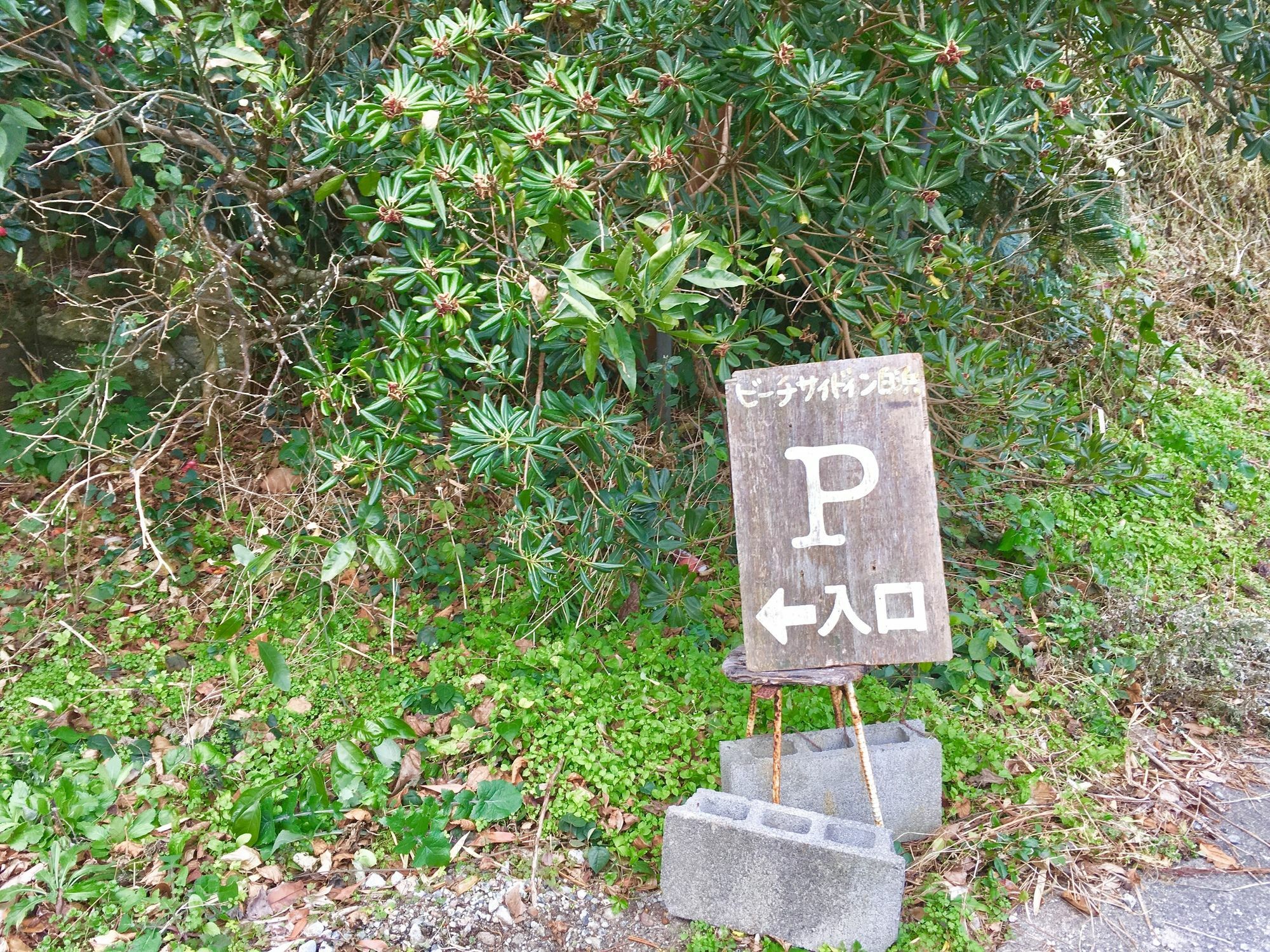 Beach Side Inn Shirahama Simoda Kültér fotó